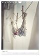 Thumbnail-13