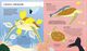 Thumbnail-3
