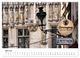 Thumbnail-8