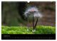 Thumbnail-10