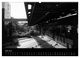 Thumbnail-11
