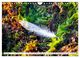 Thumbnail-11