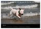 Thumbnail-9
