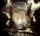 Artikelbild von Earthborn Evolution