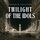Artikelbild von Twilight of the Idols - Audiobook