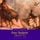 Artikelbild von Don Quijote (Buch 2)