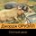 Artikelbild von Animal Farm: A Fairy Story