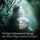 Artikelbild von Twilight Schumann Songs