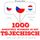 Artikelbild von 1000 essenti&euml;le woorden in het Tsjechisch