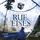 Artikelbild von Ruf des Eises