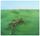 Artikelbild von Bright Green Field