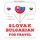 Artikelbild von Slovensk&yacute; - bulharsky: Na cestovanie