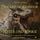 Artikelbild von Dragons of Arandor