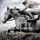 Artikelbild von ENQUIRY