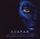 Artikelbild von Avatar (Score)
