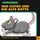 Artikelbild von Der Kater und die alte Ratte