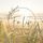 Artikelbild von 12 Tracks for Life: An Antidote to Stress - Healing Sounds & Relaxation Music for Your Body, Mind and Soul