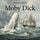 Artikelbild von Moby Dick