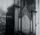 Artikelbild von Grand Mutation