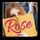 Artikelbild von Rose
