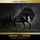Artikelbild von Black Beauty
