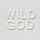 Artikelbild von Wild God