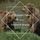 Artikelbild von Buster Bear's Twins
