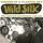 Artikelbild von Wild Silk: Visions In A Plaste-The Complete Recordings