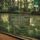 Artikelbild von 20th. CENTURY REED TRIOS