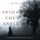 Artikelbild von Prima Che Aneli (Un Mistero di Mackenzie White &mdash; Libro 10)