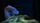 thumbnail-7