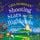 Artikelbild von Shooting Stars over the Highlands
