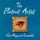 Artikelbild von The Portrait Artist