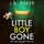 Artikelbild von Little Boy, Gone
