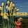 Artikelbild von Pink Martini: Bella Ciao (Digipak)