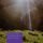 Artikelbild von Moments of Surrender