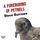 Artikelbild von A Foreboding of Petrels