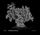 Artikelbild von St Matthew Passion