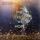 Artikelbild von The Moment we Hope
