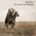 Artikelbild von Der schwarze Mustang