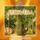 Artikelbild von Ayurveda - Music In The Rhythm Of Joy