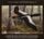 Artikelbild von Various: Wildlife Album 2