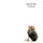 Artikelbild von The Hurting (Vinyl)