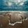 Artikelbild von Sylt Sounds