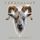 Artikelbild von Legendaddy (2LP)