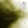 Artikelbild von Hummingbird (180 Gramm Vinyl)