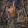 Artikelbild von Hear the Rivers