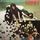 Artikelbild von Rock And Roll Survivors (2CD Digi Expanded Edition