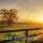 Artikelbild von Fletchers End