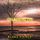 Artikelbild von Gnadenlos (Ein spannender Amber Young FBI-Thriller &ndash; Buch 1)